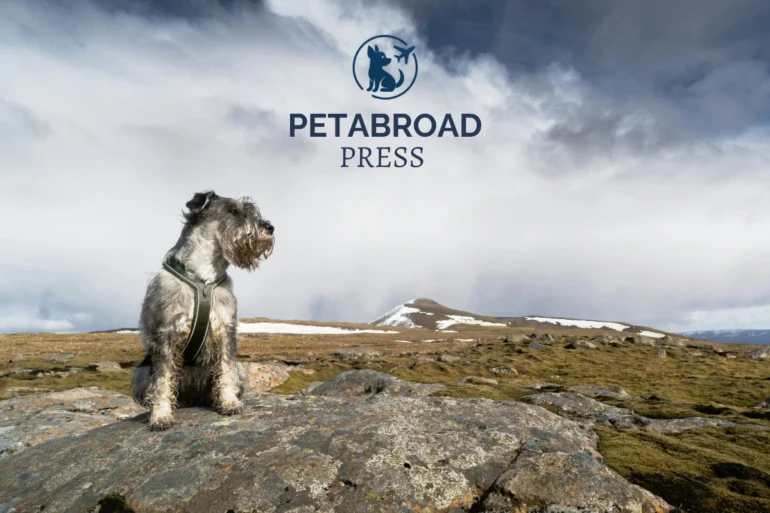 PetAbroad Press info