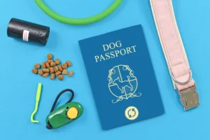 Changes to EU pet passports in April 2026
