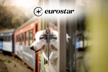 Eurostar pet policy
