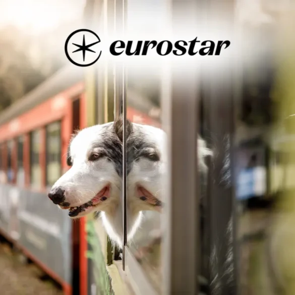 Eurostar pet policy