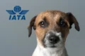 IATA Live Animal Regulations