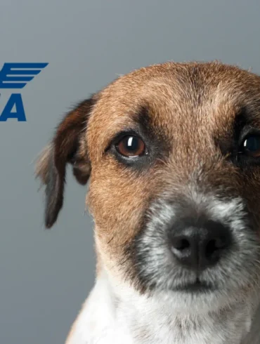 IATA Live Animal Regulations