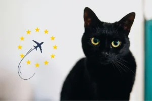 All about the EU Health Certificate