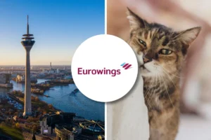 Eurowings pet policy