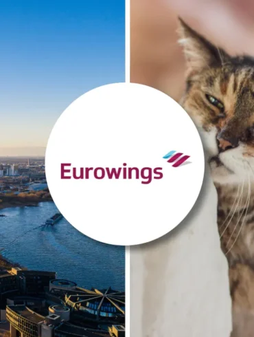 Eurowings pet policy