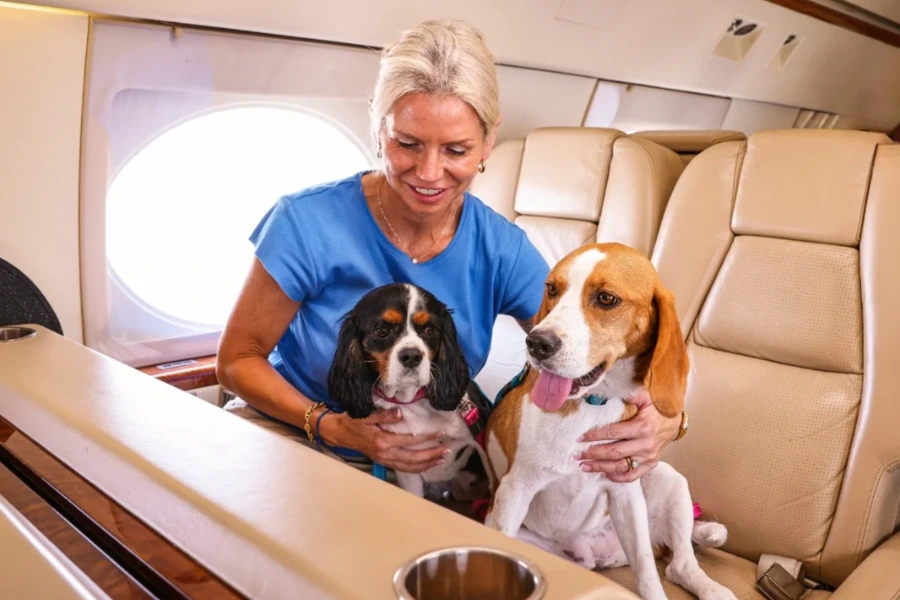 K9 JETS on board