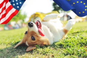 Transatlantic pet relocation traps