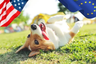 Transatlantic pet relocation traps
