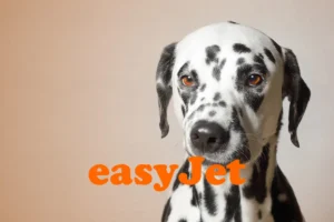 EasyJet pet policy guide